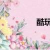 酷玩加速器（i酷加速器）
