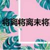 將離將離未將離（關于將離將離未將離簡介）