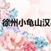 徐州小龜山漢墓（關于徐州小龜山漢墓介紹）