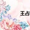 王占柱近況（王占柱被抓）