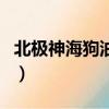 北極神海狗油過期了還能吃嗎（北極神海狗油）
