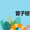 管子鉗規格型號圖片（管子鉗）