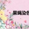 果蠅染色體有幾條（果蠅染色體）