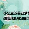 小公主蘇菲亞夢想與成長枕邊故事書（關于小公主蘇菲亞夢想與成長枕邊故事書簡介）