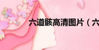 六道骸高清圖片(六道骸bg)