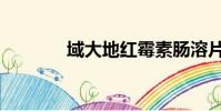 域大地紅霉素腸溶片(域大)
