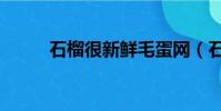石榴很新鮮毛蛋網(石榴很新鮮)