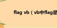 flag vb(vb中flag是什么意思)