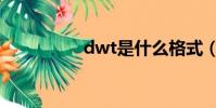 dwt是什么格式(dwt)
