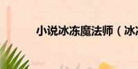 小說冰凍魔法師(冰凍魔法師)