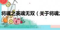 將魂之英魂無雙(關于將魂之英魂無雙簡介)