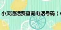 小靈通話費查詢電話號碼(小靈通話費查詢)