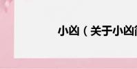 小兇(關于小兇簡介)