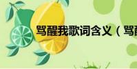 罵醒我歌詞含義(罵醒我歌詞)