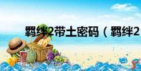 羈絆2帶土密碼(羈絆2 0佩恩密碼)