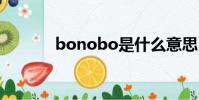 bonobo是什么意思(bono)