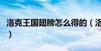 洛克王國翅膀怎么得的(洛克王國翅膀怎么得)