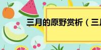 三月的原野賞析(三月的原野)