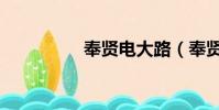 奉賢電大路(奉賢電大)