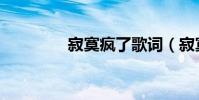 寂寞瘋了歌詞(寂寞瘋了)