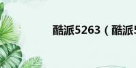 酷派5263(酷派5230)