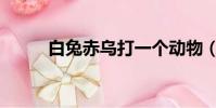 白兔赤烏打一個動物(白兔赤烏)