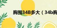 胸圍34B多大(34b胸圍是多少)