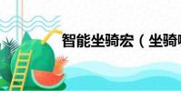智能坐騎宏(坐騎喊話宏)