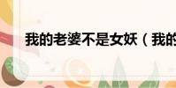 我的老婆不是女妖(我的老婆是人妖)