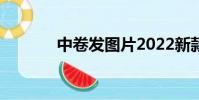 中卷發圖片2022新款(中卷)