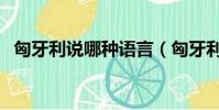 匈牙利說哪種語言(匈牙利人說什么語言)
