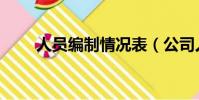 人員編制情況表(公司人員編制表)