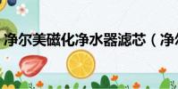 凈爾美磁化凈水器濾芯(凈爾美磁化凈水器)