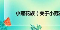 小冠花族(關于小冠花族簡介)