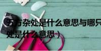 五方雜處是什么意思與哪只生肖有關(五方雜處是什么意思)