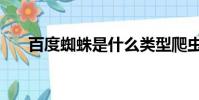百度蜘蛛是什么類型爬蟲(百度蜘蛛)
