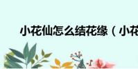 小花仙怎么結花緣(小花仙怎么結婚)
