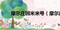 摩爾莊園米米號(摩爾莊園哈米龍)