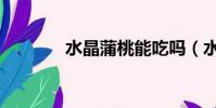 水晶蒲桃能吃嗎(水晶蒲桃)