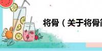 將骨(關于將骨簡介)