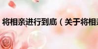 將相親進行到底(關于將相親進行到底簡介)