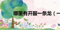 哪里有開服一條龍(一條龍開區)