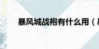 暴風城戰袍有什么用(暴風城戰袍)