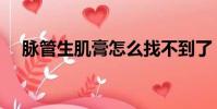 脈管生肌膏怎么找不到了(脈管生肌膏)
