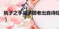 執子之手與子偕老出自詩經哪部分(執子之手)