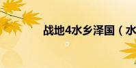 戰地4水鄉澤國(水鄉澤國)