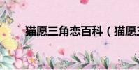 貓愿三角戀百科(貓愿三角戀結局)