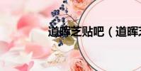道暉芝貼吧(道暉芝整容)