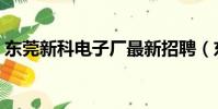 東莞新科電子廠最新招聘(東莞新科電子廠)