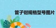 管子鉗規格型號圖片(管子鉗)